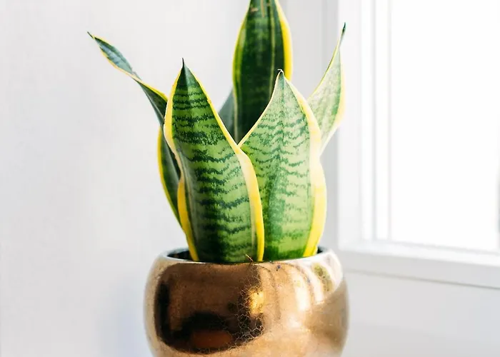 Apartamento Kichinger Hof 37